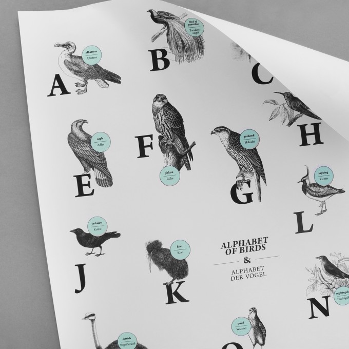 The True Type Poster, ABC der Vögel / alphabet of birds in Deutsch/Englisch, DIN A1, Plakat, Typografie, Design
