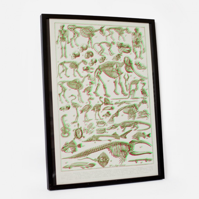 Bon Matin Les Squelettes 3D-Siebdruckplakat – rikiki. Grafik & Produkt Bon Matin Les Squelettes 3D-Siebdruckplakat – rikiki. Grafik & Produkt
