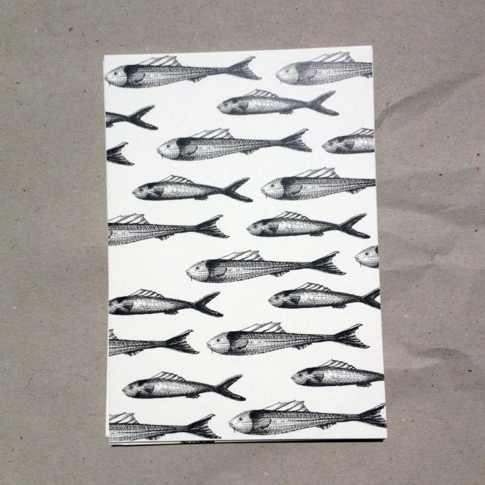 thethe FISHY BUDDIES Postkarte thethe FISHY BUDDIES Postkarte