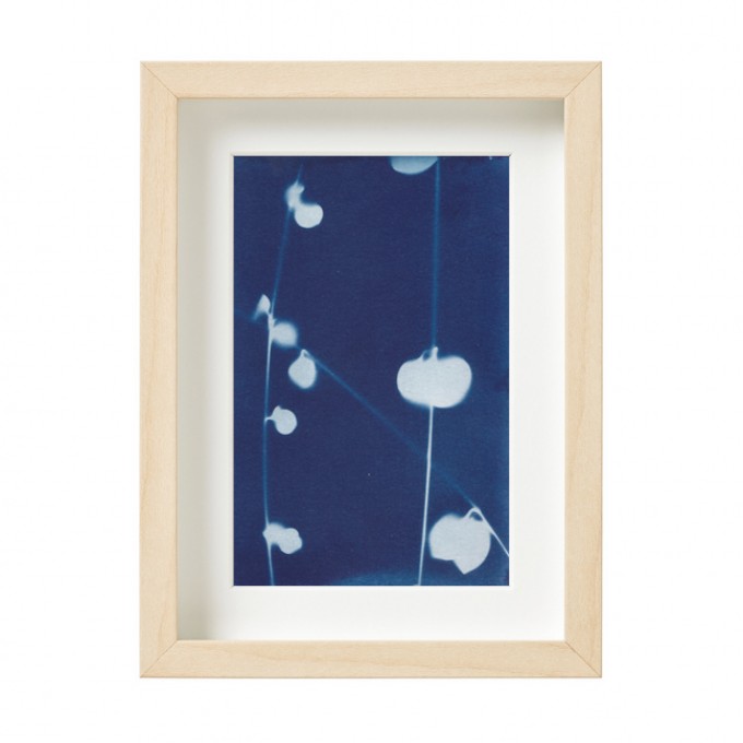 Anka Büchler, Floraler Blaudruck,Cyanotypie, Unikat, A6, gerahmt, Motiv 10 Anka Büchler, Floraler Blaudruck,Cyanotypie, Unikat, A6, gerahmt, Motiv 10