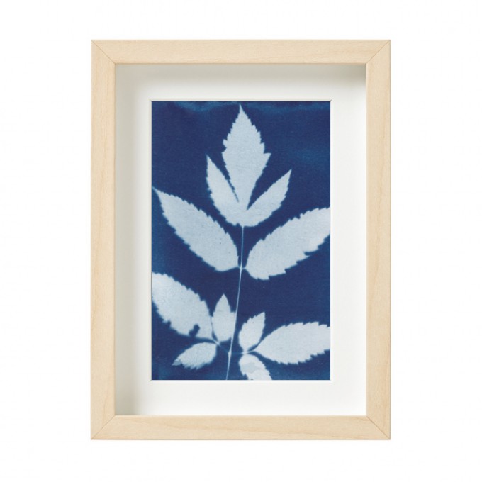 Anka Büchler, Floraler Blaudruck,Cyanotypie, Unikat, A6, gerahmt, Motiv 11 Anka Büchler, Floraler Blaudruck,Cyanotypie, Unikat, A6, gerahmt, Motiv 11
