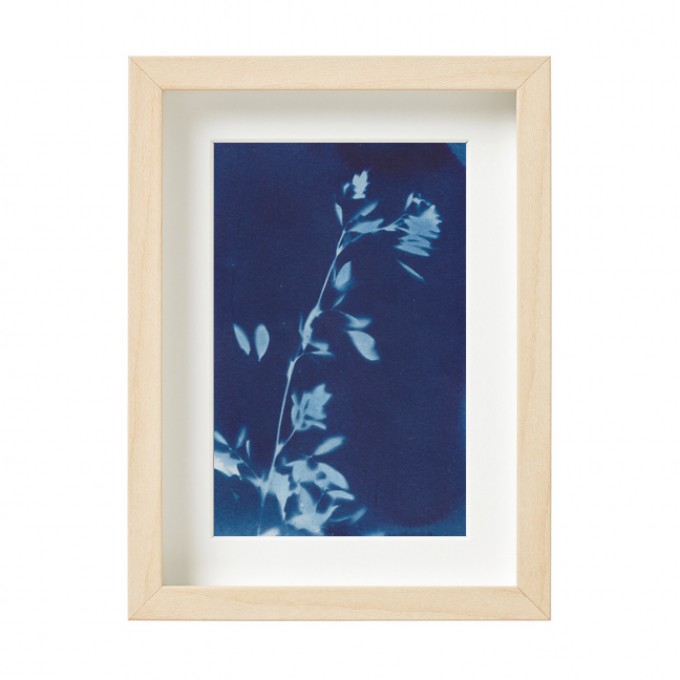 Anka Büchler, Luzerne, Blaudruck,Cyanotypie, Unikat, A6, gerahmt, Motiv 1 Anka Büchler, Luzerne, Blaudruck,Cyanotypie, Unikat, A6, gerahmt, Motiv 1