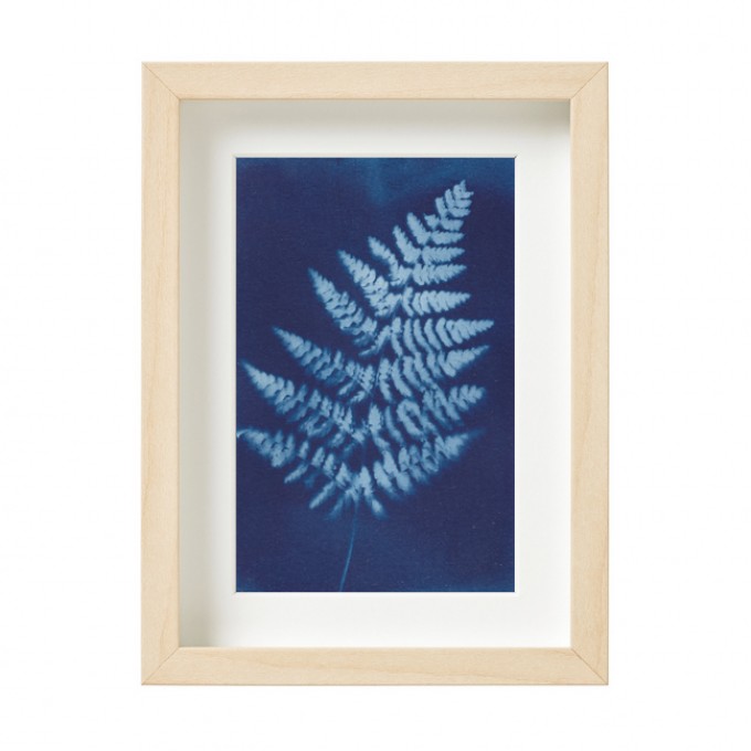 Anka Büchler, Farn, Blaudruck,Cyanotypie, Unikat, A6, gerahmt, Motiv 18 Anka Büchler, Farn, Blaudruck,Cyanotypie, Unikat, A6, gerahmt, Motiv 18