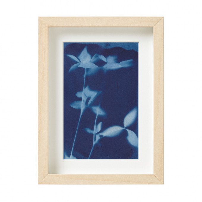 Anka Büchler, Floraler Blaudruck,Cyanotypie, Unikat, A6, gerahmt, Motiv 19 Anka Büchler, Floraler Blaudruck,Cyanotypie, Unikat, A6, gerahmt, Motiv 19