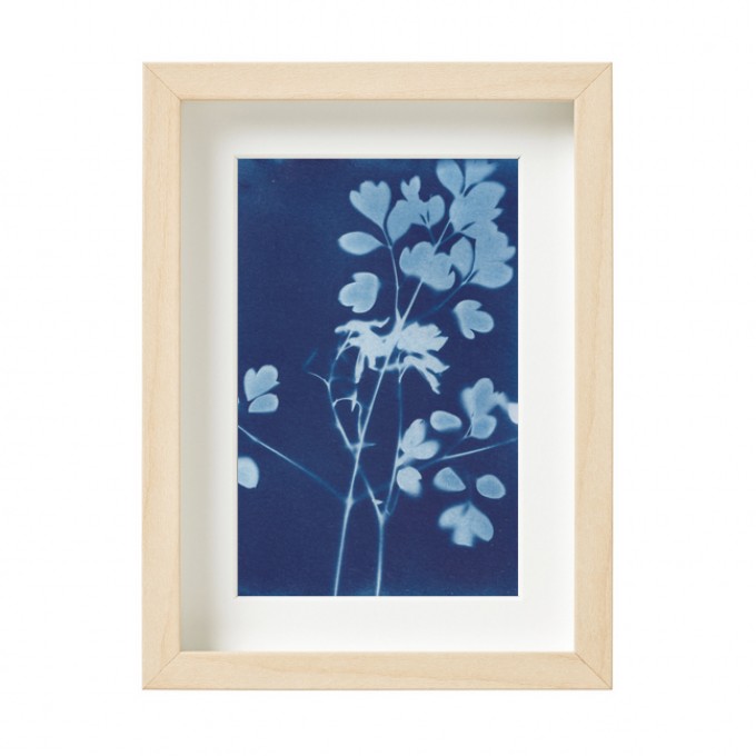 Anka Büchler, Luzerne, Blaudruck,Cyanotypie, Unikat, A6, gerahmt, Motiv 20 Anka Büchler, Luzerne, Blaudruck,Cyanotypie, Unikat, A6, gerahmt, Motiv 20