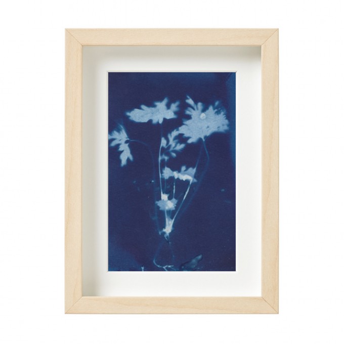 Anka Büchler, Floraler Blaudruck, Cyanotypie, Unikat, A6, gerahmt, Motiv 12 Anka Büchler, Floraler Blaudruck, Cyanotypie, Unikat, A6, gerahmt, Motiv 12