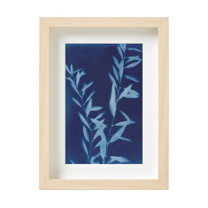 Anka Büchler, Floraler Blaudruck, Cyanotypie, Unikat, A6, gerahmt, Motiv 21 Anka Büchler, Floraler Blaudruck, Cyanotypie, Unikat, A6, gerahmt, Motiv 21