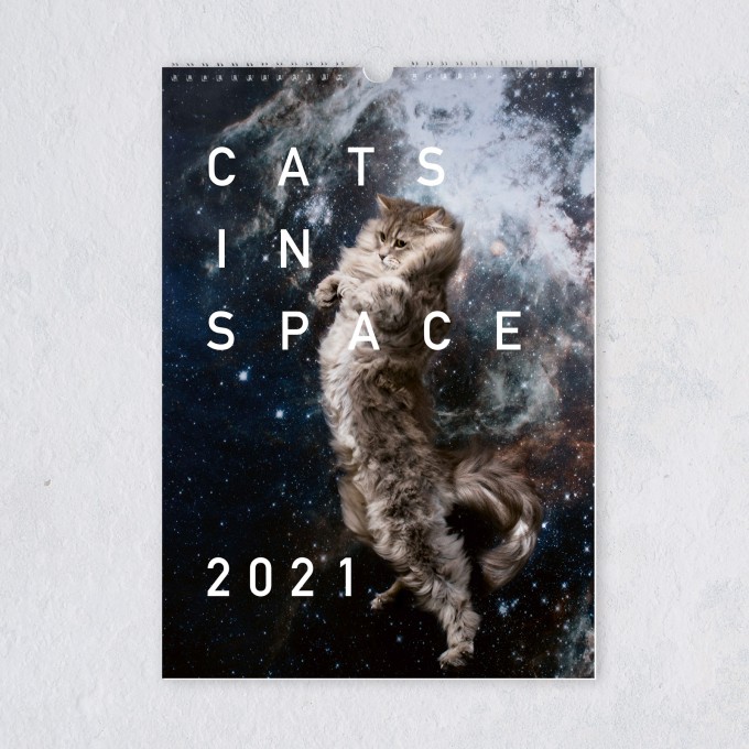 edition ij "CATS IN SPACE" Kalender 2021 edition ij "CATS IN SPACE" Kalender 2021