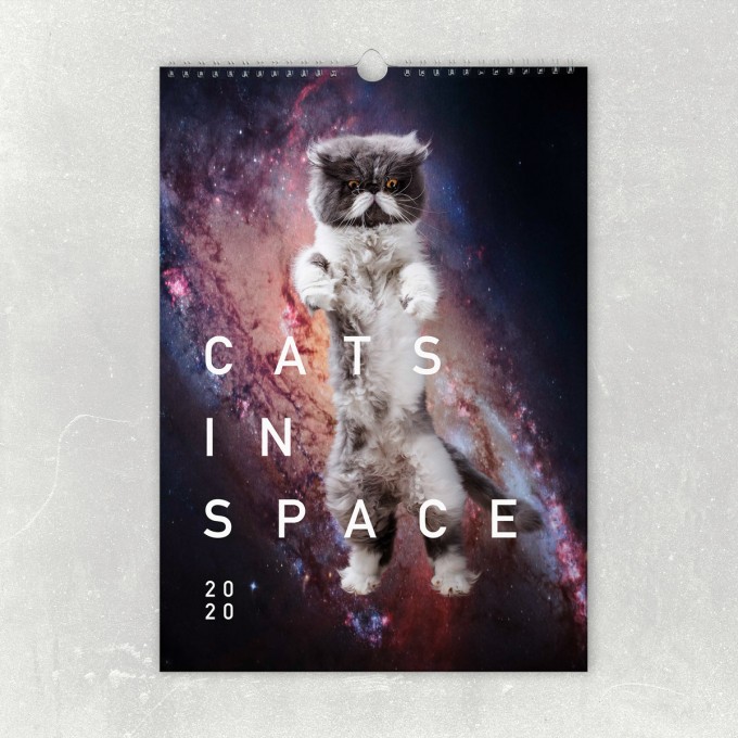 edition ij CATS IN SPACE Kalender 2020 edition ij CATS IN SPACE Kalender 2020