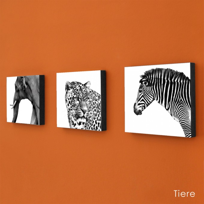 COGNOSCO Wandbild/ Holzblock 3er Set Tiere COGNOSCO Wandbild/ Holzblock 3er Set Tiere
