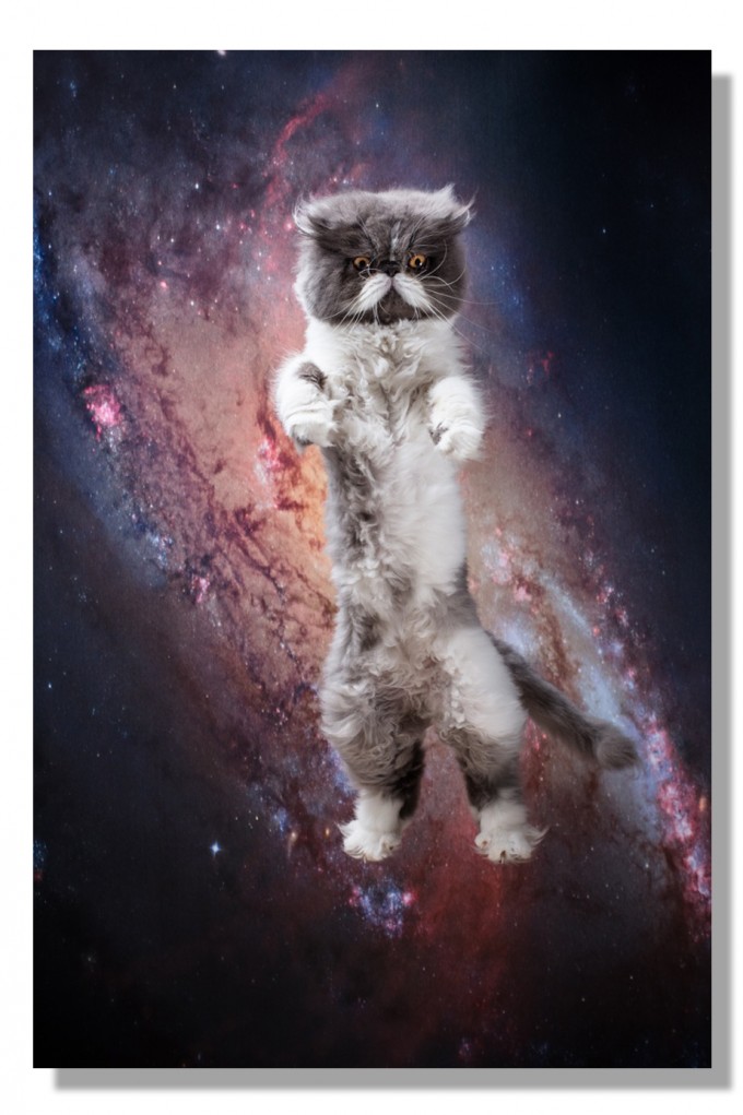 Kunstprint Poster Katzmonauten Karl Katze im Weltall 30x40cm cats in space Kunstprint Poster Katzmonauten Karl Katze im Weltall 30x40cm cats in space