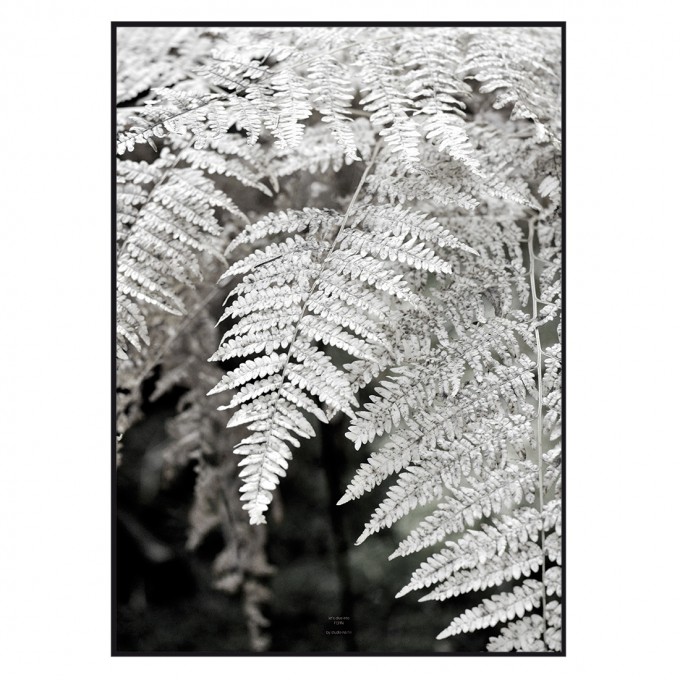 na.hili Let´s dive into FERN - A1 Artprint - Poster na.hili Let´s dive into FERN - A1 Artprint - Poster