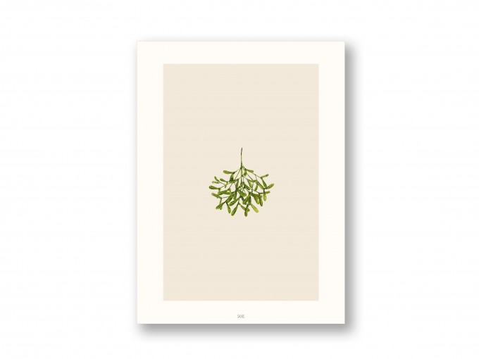 Kunstdruck Mistelzweig - SANS. Kunstdruck Mistelzweig - SANS.