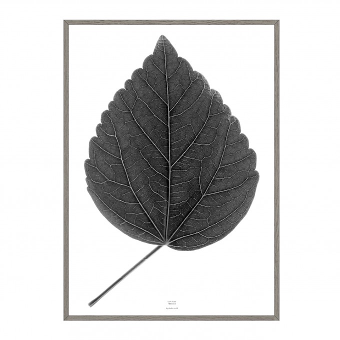na.hili look closer HIBISCUS - black Artprint A3, 50x70, A1 Poster na.hili look closer HIBISCUS - black Artprint A3, 50x70, A1 Poster