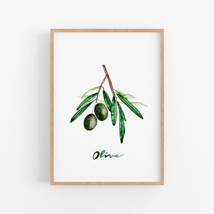 nathys_illustration - Aquarell Poster "olive" DIN A4