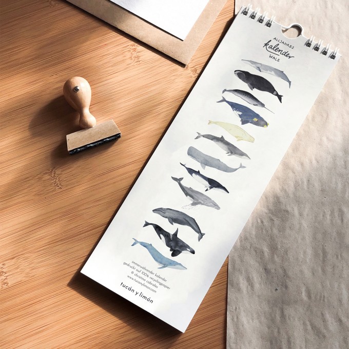 tucán y limón – Geburtstagskalender Wale / Aquarell / 100% Recyclingpapier / A4 halb tucán y limón – Geburtstagskalender Wale / Aquarell / 100% Recyclingpapier / A4 halb