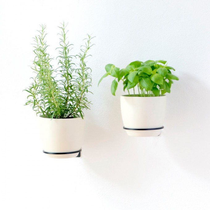 Planty Rings Wallplanter | universelle Wandhalterung für Pflanzen im Übertopf | Blumenampel für die Wand im minimalistischen Design | Urban Jungle | Vertikaler Garten | Farbe schwarz | in 3 Größen ehältlich Planty Rings Wallplanter | universelle Wandhalterung für Pflanzen im Übertopf | Blumenampel für die Wand im minimalistischen Design | Urban Jungle | Vertikaler Garten | Farbe schwarz | in 3 Größen ehältlich