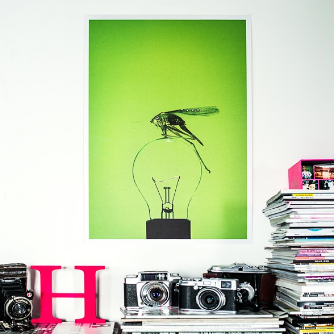 Grashüpfer Posterprint DIN A2 Grashüpfer Posterprint DIN A2