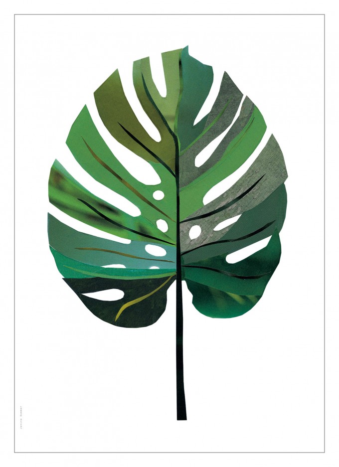 Human Empire Monstera Print (Din A3) Human Empire Monstera Print (Din A3)