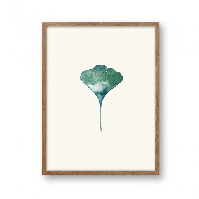 Ginkgo Poster A5 - SANS