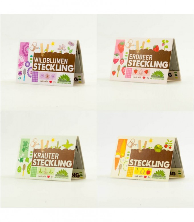 DieStadtgärtner Steckling | Der Blumenstrauß für die Hosentasche DieStadtgärtner Steckling | Der Blumenstrauß für die Hosentasche