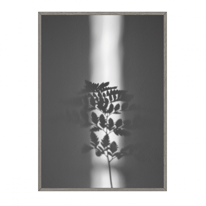 na.hili ray of sunlight Artprint A1 Poster na.hili ray of sunlight Artprint A1 Poster