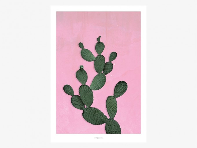 typealive / Kaktus No. 3
