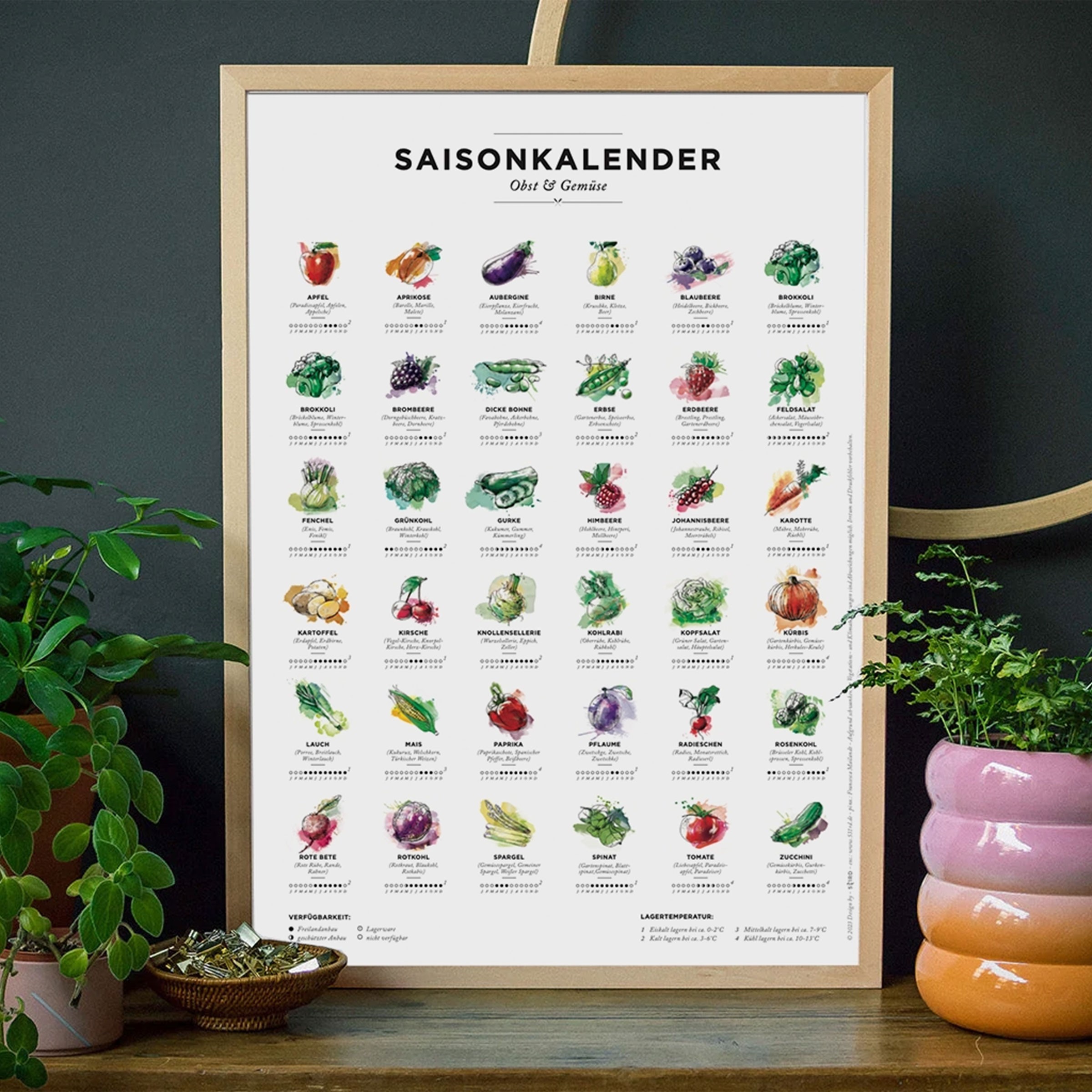 Saisonkalender Obst & Gemüse, Format A4, Poster mit 36 Obst ...