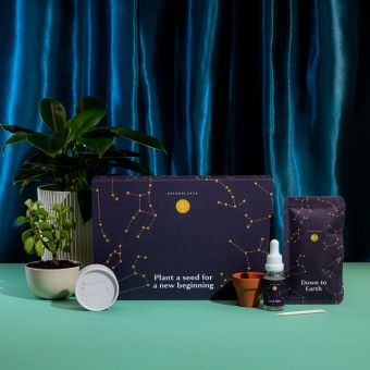 Astroplants - Geschenkebox