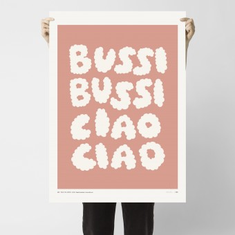 redfries bussi ciao salmon – Kunstdruck DIN B2