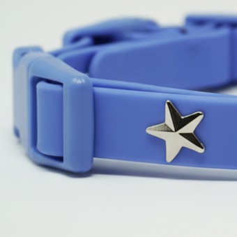 Stern Silber Hundehalsband Anhänger - PawPopz