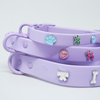 Hundehalsband Outdoor wasserfest Lila - PawPopz