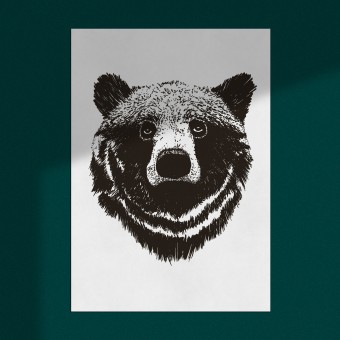 Poster "Bär", Wanddeko, Riso Art Print, A3