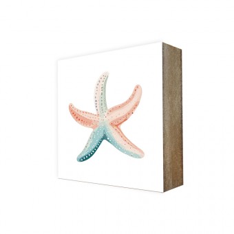 Stadtliebe® | Cube-Bild Sea-Linie „Seestern Sabine“