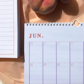 KALENDER 2025 in DIN A3 (Peach) - SANS.