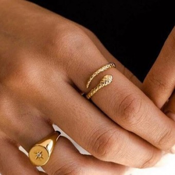 Anoa Ring Schlange Schlangenring Gold 