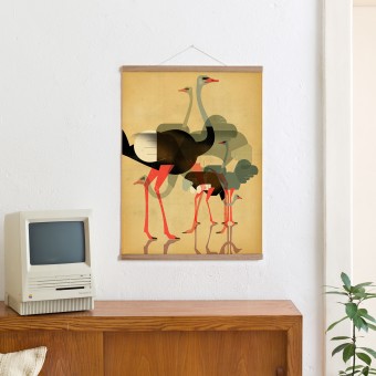 KLEINWAREN / VON LAUFENBERG Set / Ostriches + Magnetische Posterleiste Eiche 50 cm