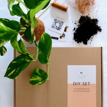 Kokedami DIY Set inkl. Überraschungspflanze