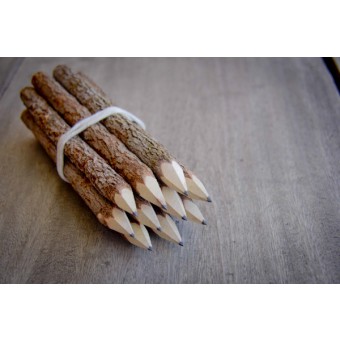 Bleistifte, handgemacht aus Zweigen, 10er-Set BY COPALA