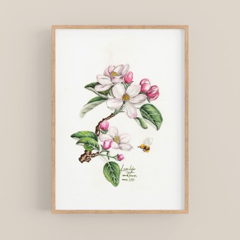 nathys_illustration - Apple Blossom DINA4 Druck/ Poster/ Illustration
