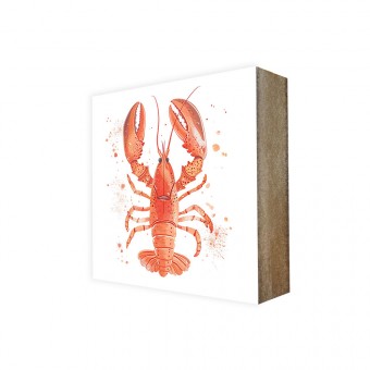 Stadtliebe® | Cube-Bild Sea-Linie „Hummer Hubertus“