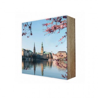 Stadtliebe® | Bilder Cube „Hamburg Binnenalster und Rathaus“