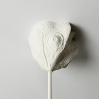 canopie® - Lampenbaldachin - Chamäleon Gipsweiß