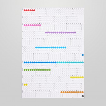 dot on Jahresplaner 2026 mit Klebepunkten · 69x100 cm · rainbow edition