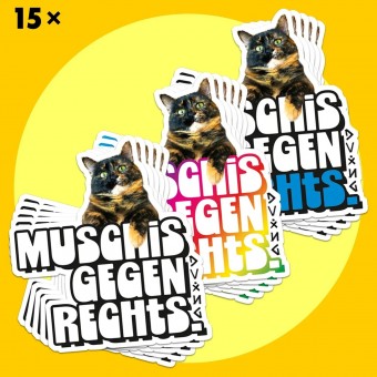 StickerBundle M*SCHIS GEGEN RECHTS vinyl von DV×NG TH×NGS
