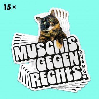 StickerBundle M*SCHIS GEGEN RECHTS vinyl