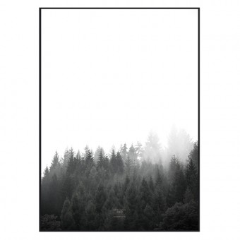 nahili ARTPRINT/POSTER "walk through the FOREST" (DIN A1/A3 & 50x70cm) Wald Natur-Fotografie