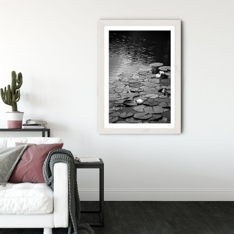 nahili ARTPRINT/POSTER "floating on the WATER" Seerosen Fotografie (DIN A1/A3 & 50x70cm)