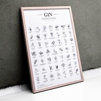 Gin Plakat, 49 ausgewählte Kräuter Botanicals Gin Aromen – Poster A2 und SW (ohne Rahmen)