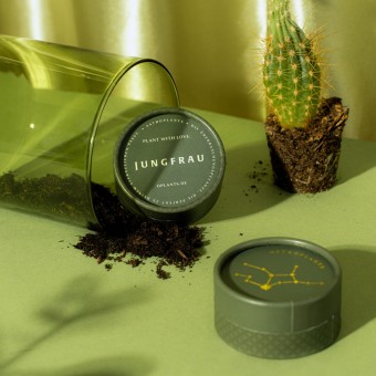 Astroplants - Jungfrau - Pflanzensamen